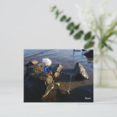 Vissende Fubby op een steen. Briefkaart (Staand voorkant)