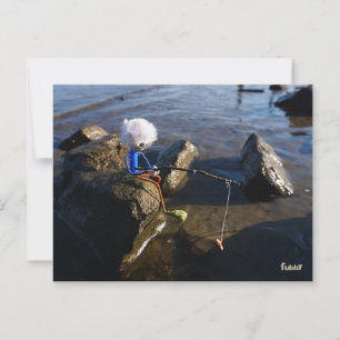 Vissende Fubby op een steen. Briefkaart