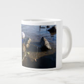 Vissende Fubby op een steen. Grote Koffiekop (Voorkant rechts)