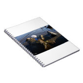 Vissende Fubby op een steen. Notitieboek (Rechterzijde)