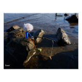 Vissende Fubby op een steen. Perfect Poster (Voorkant)