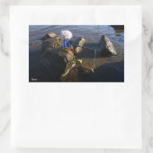 Vissende Fubby op een steen. Rechthoekige Sticker (Tas)