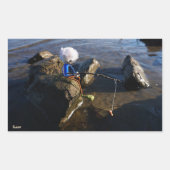 Vissende Fubby op een steen. Rechthoekige Sticker (Voorkant)