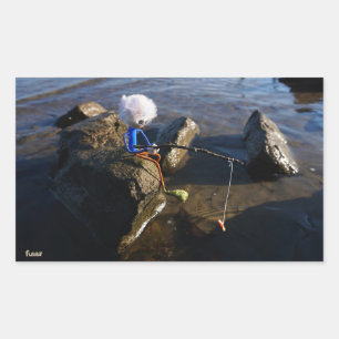 Vissende Fubby op een steen. Rechthoekige Sticker