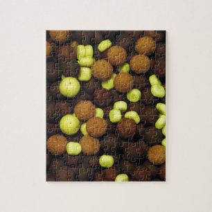 Vissende karper — galgen 2 legpuzzel