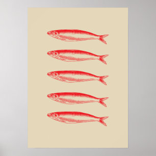 visser op sardines poster