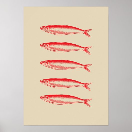 visser op sardines poster (Voorkant)