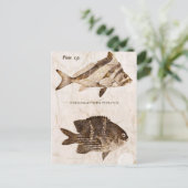  visserij Antiek zeehaven Briefkaart (Staand voorkant)