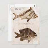  visserij Antiek zeehaven Briefkaart (Voorkant / Achterkant)