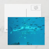 Visserij Briefkaart (Voorkant / Achterkant)