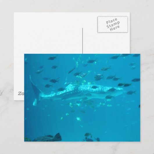 Visserij Briefkaart (Voorkant / Achterkant)