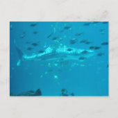 Visserij Briefkaart (Voorkant)