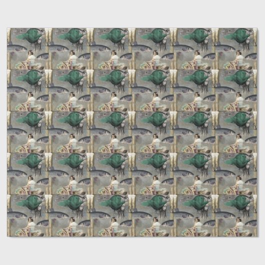 Visserij Cadeaupapier (Vlak)