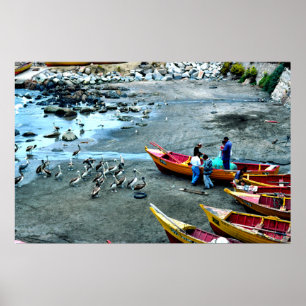 Visserij en pelikanen, Valparaiso, Chili Poster