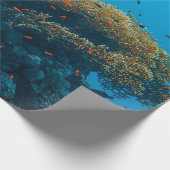 visserij en riffen cadeaupapier (Hoek)