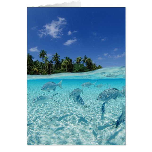 Visserij in de zee (Voorkant)