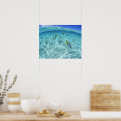 Visserij in de zee 3 poster (Keuken)