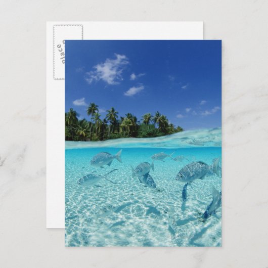 Visserij in de zee briefkaart (Voorkant / Achterkant)