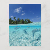 Visserij in de zee briefkaart (Voorkant)