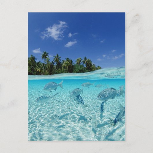 Visserij in de zee briefkaart (Voorkant)