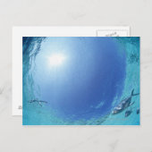 Visserij in de zee briefkaart (Voorkant / Achterkant)