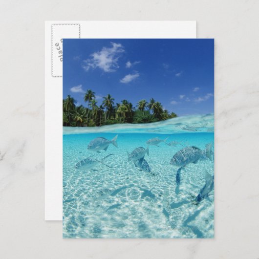 Visserij in de zee briefkaart (Voorkant / Achterkant)