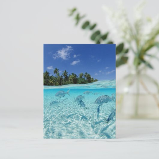 Visserij in de zee briefkaart (Staand voorkant)