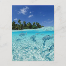 Visserij in de zee briefkaart