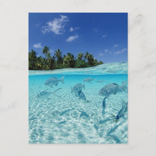 Visserij in de zee briefkaart (Voorkant)