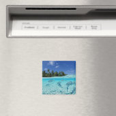 Visserij in de zee magneet (Insitu (Vaatwasser))