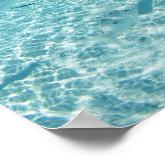 Visserij in de zee poster (Hoek)