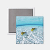 Visserij in het zee 2 magneet (Voorkant / Achterkant)