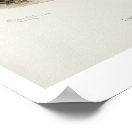  visserij - meer van de forel poster (Hoek)