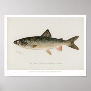  visserij - meer van de forel poster
