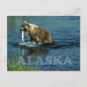 Visserij op bruin beer van Kodiak in Alaska Briefkaart (Voorkant)