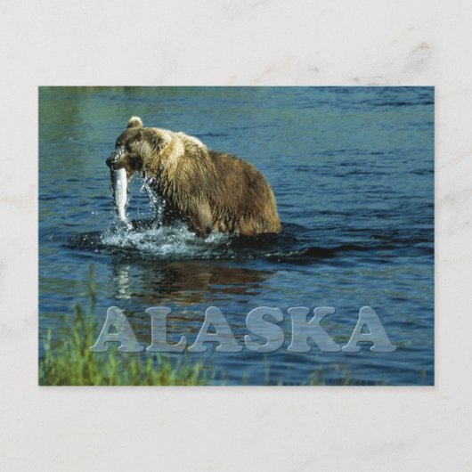 Visserij op bruin beer van Kodiak in Alaska Briefkaart (Voorkant)