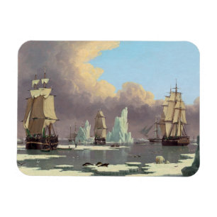 Visserij op de Noordelijke walvissoort: "Swan" en  Magneet