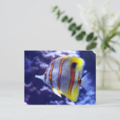 VISSERIJ OP HET BRIEFKAART VISSEN (Staand voorkant)