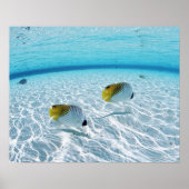 Visserij op Zee Poster (Voorkant)