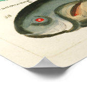 Visserij Poster (Hoek)