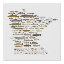 Visserij van Minnesota