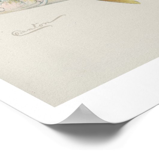  visserij - Zwak-vis Poster (Hoek)