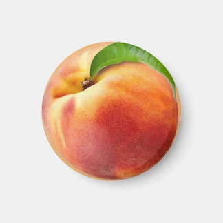 Visserijlogboek Magneet