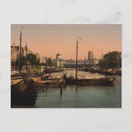 Visserijmarkt in Rotterdam Briefkaart (Voorkant)