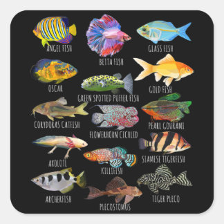 Visserijsoorten Biologische soorten van aquarium v Vierkante Sticker