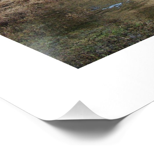 Visserijvloot Steelhead-forel Foto Afdruk (Hoek)