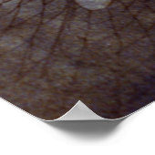 Vissers - Bertha Boynton Lum - 1913 Poster (Hoek)