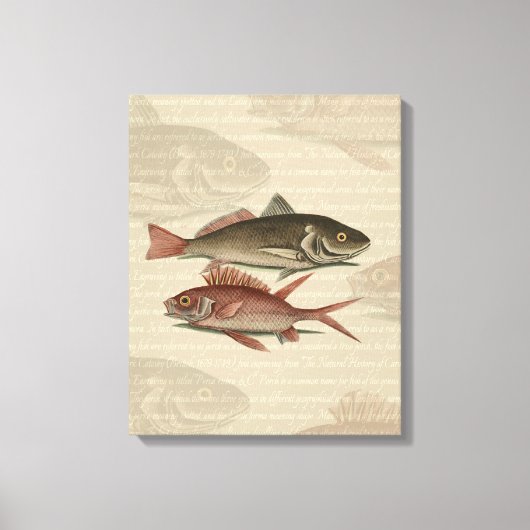 Vissers met roodbaars canvas afdruk (Voorkant)
