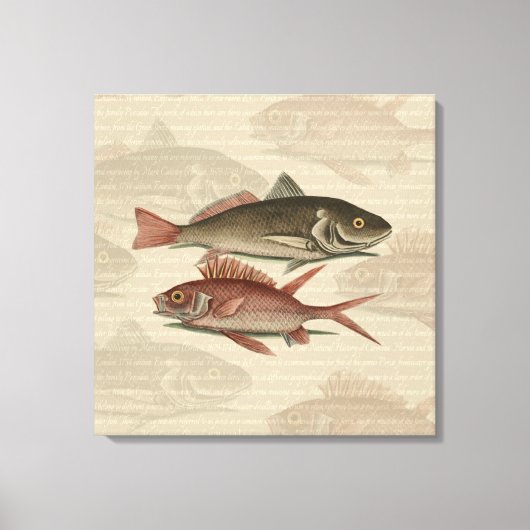 Vissers met roodbaars canvas afdruk (Voorkant)
