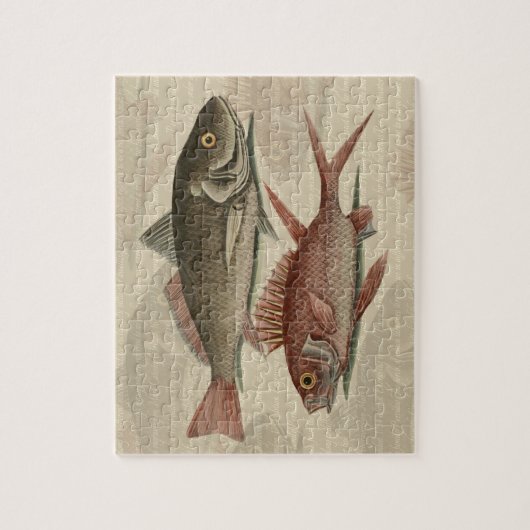 Vissers met roodbaars legpuzzel (Verticaal)